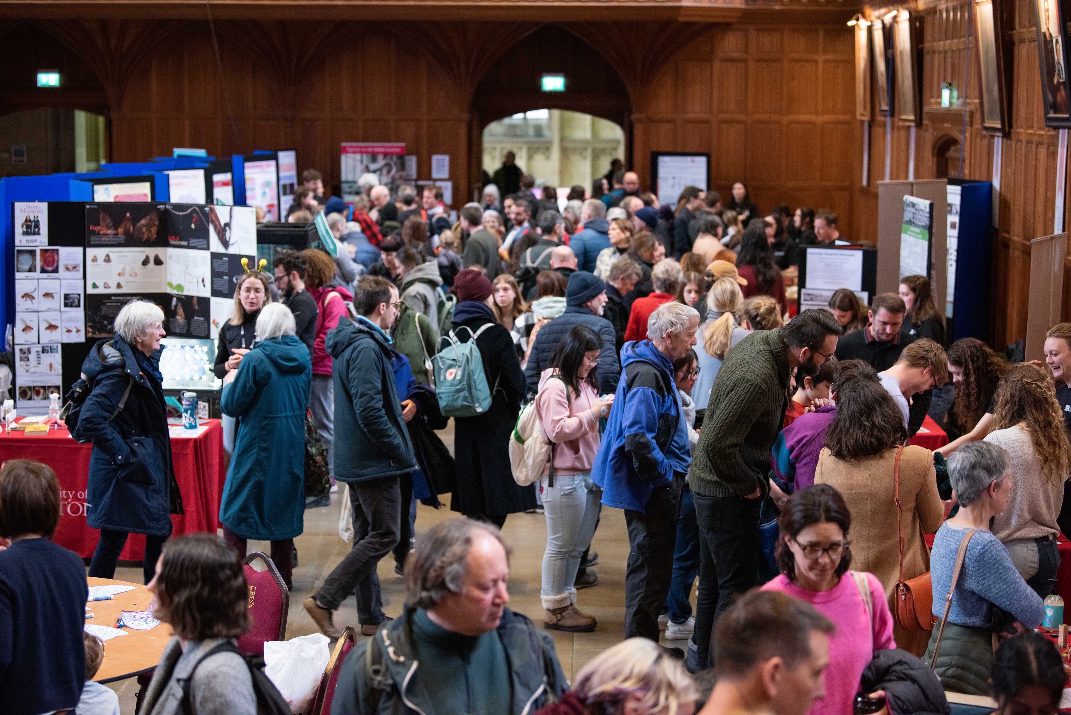 Visitors at the festival